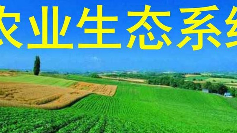 农民专业合作社注销审批流程详解