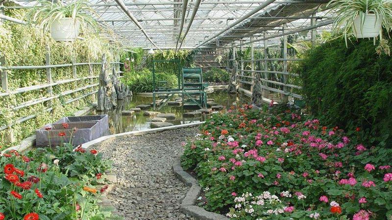 河南大棚水果种植成本解析：如何降低成本，提高效益**