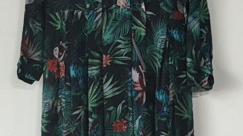 南方水稻种植区：主要省份的种植特点与挑战