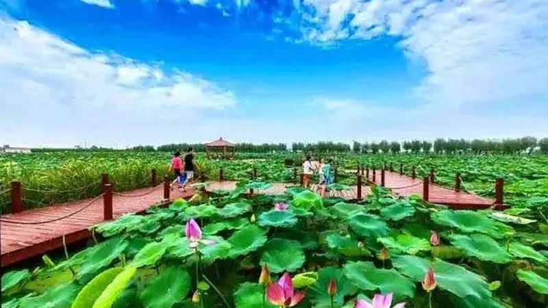 家庭农场补贴申请，流程详解助您顺利领款