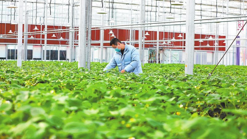 在山东众多水果种植基地中，以下几家生产厂家具有较高的知名度和良好口碑：