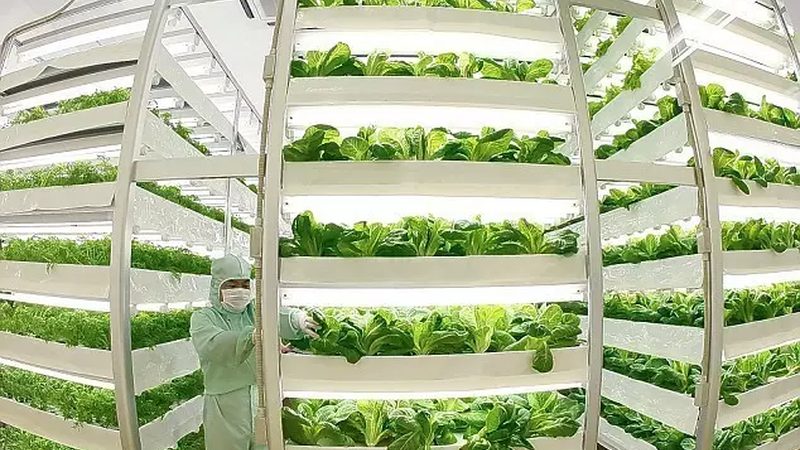 阿克苏苹果种植：气候条件解析与种植要点