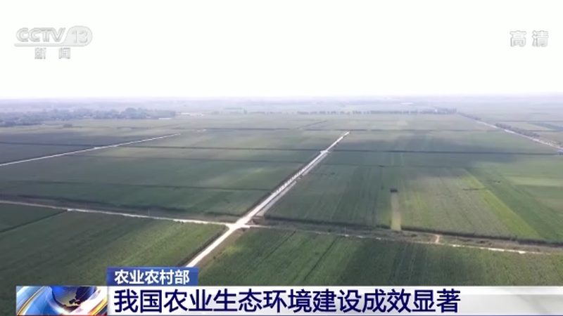 合作社分红方案表格：从数据设计到落地执行的关键要点