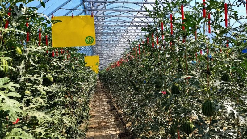 以下为不同类型合作社代理记账的大致价格范围，供参考：