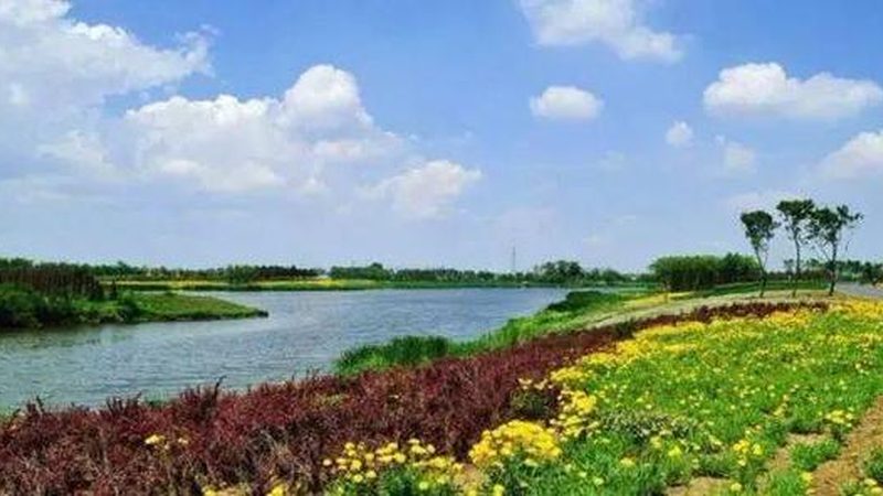 水果农产品规格型号报价单：揭秘选购背后的标准与技巧