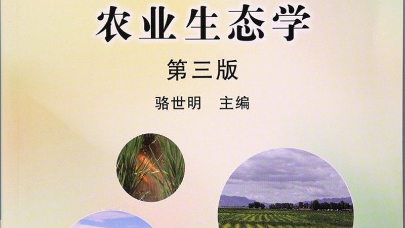 有机蔬菜与有机肥：共生共荣的绿色之道