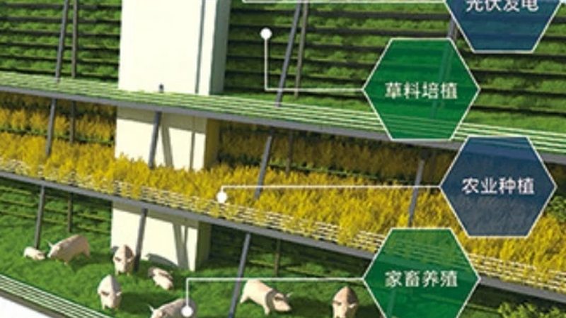 四川农业无人机植保，如何选择性价比高的解决方案？**