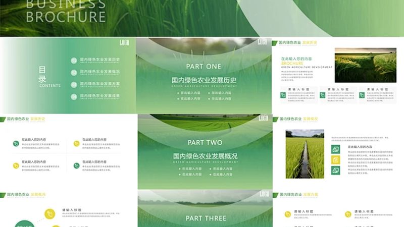 蓝莓种植间距：如何平衡土壤健康与产量提升